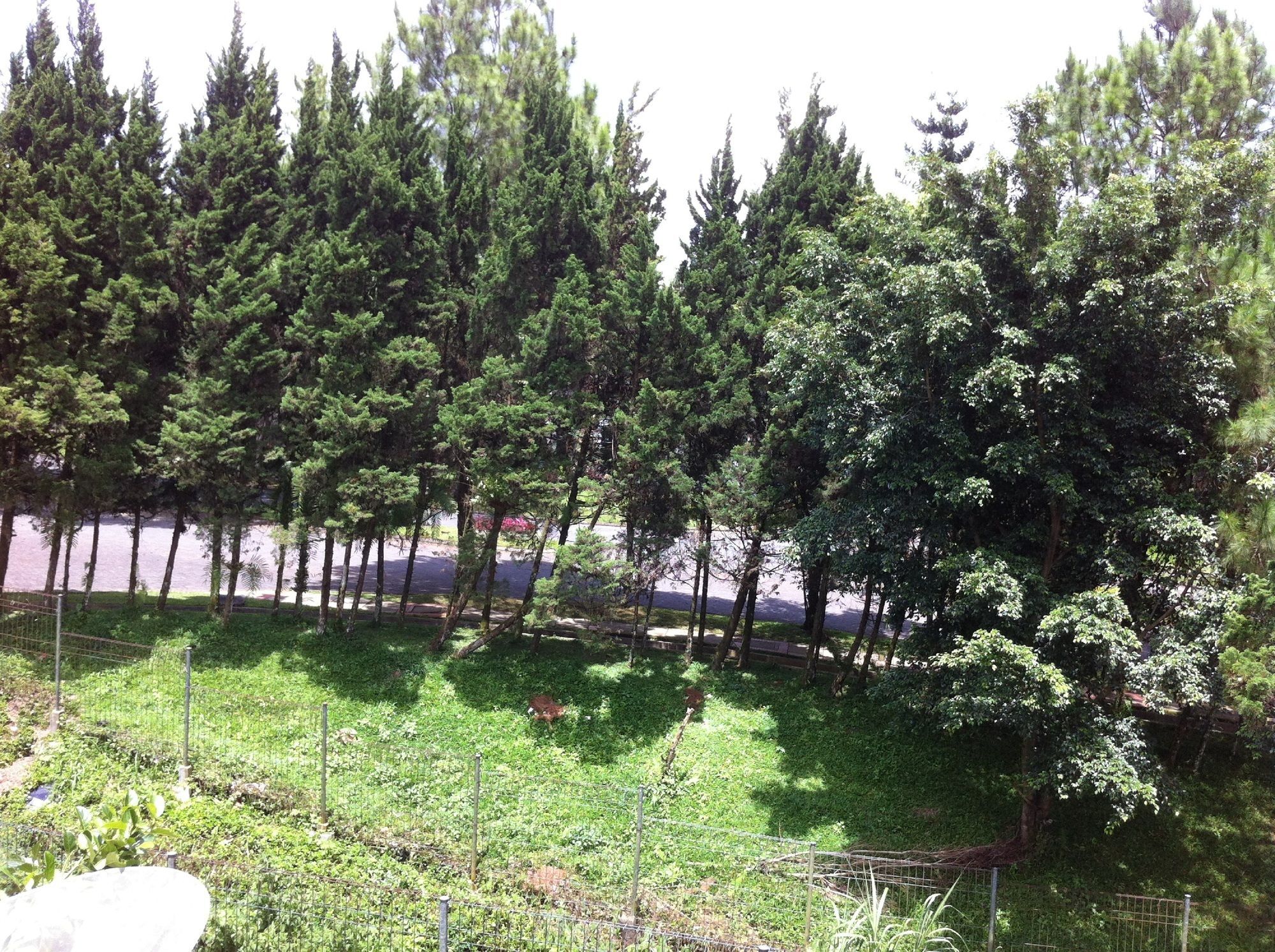 Villa Bukit Danau Lot 12 Cipanas  Eksteriør bilde